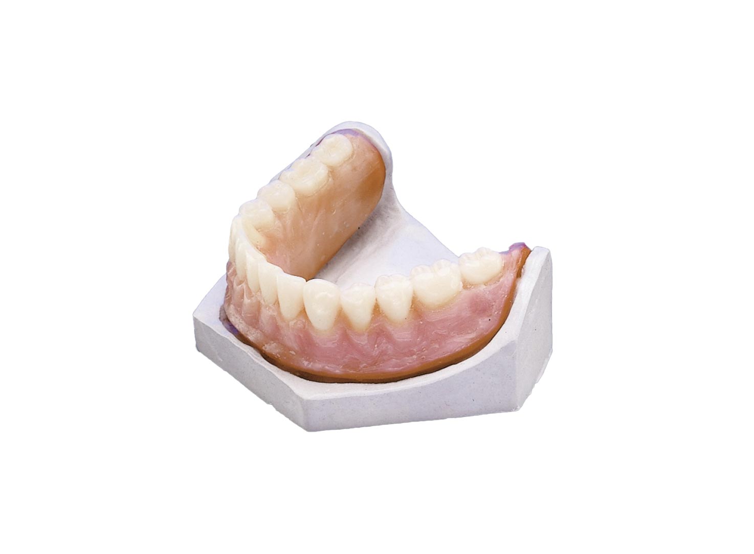 ماده ریلاین دندان MOLLOPLAST برند DETAX