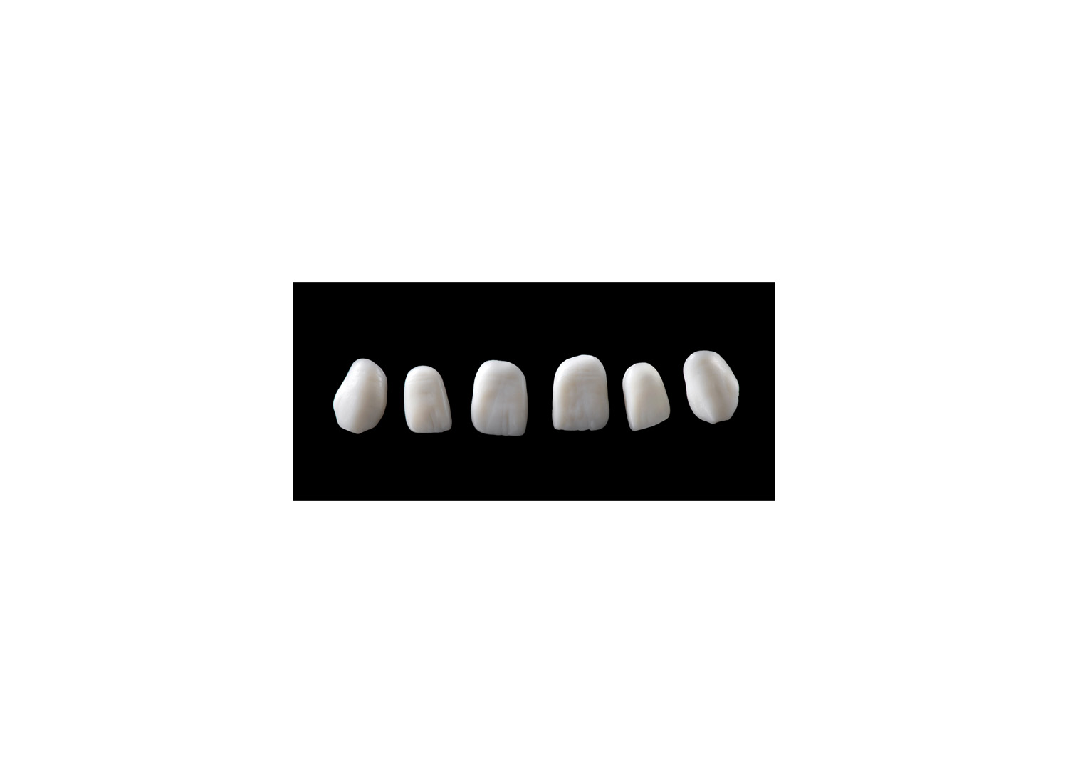 قالب دندان سیلیکونی قدامی 8 عددی برند Smile Line