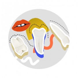 آشنایی با آناتومی دندان: انواع، تعداد و مشکلات شایع